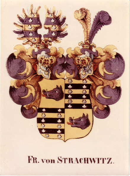 Freiherren 1621.jpg